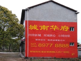 建德百分之90的人都不了解的农村墙体广告