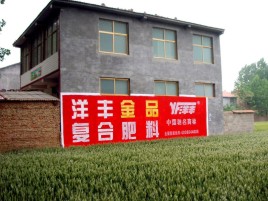 建德如何让墙体广告展现最大化效果